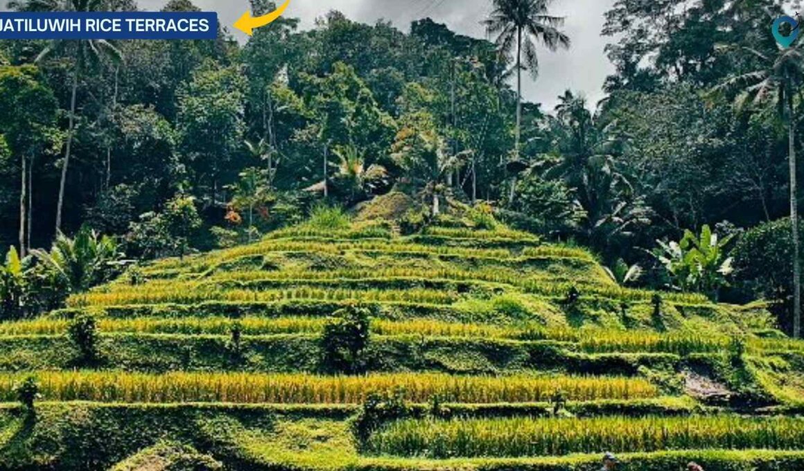 Jatiluwih-Rice-Terraces