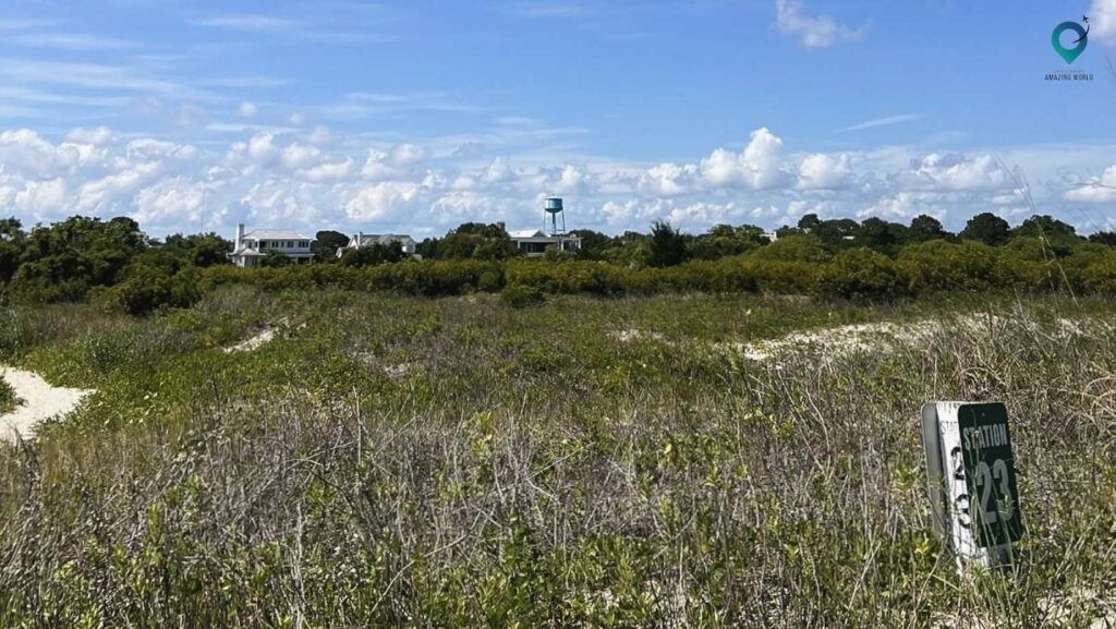 Naturist Beach Teen: A Family-Friendly Guide 5 Naturist-Beach-Teen