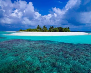 coral-reef-the-maldives-2022-08-01-04-09-24-utc